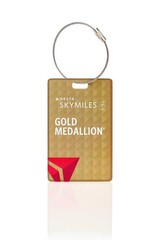 Delta Gold Medallion Status for One Person – Through 1/31/2027 x 2