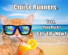 Flask Cruise Kit Rum Runner Sneak Smuggle Alcohol Liquor Wine Booze Bags Plastic