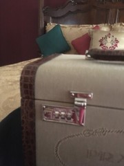 PRADA TRAIN CASE BRAND NEW NEVER USED