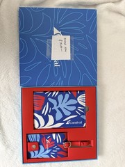 Carnival Blue Red White Passport Holder Wallet Organizer with Sleeves Included