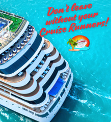 Cruise Plastic Flask Kit Liquor Rum Runners Sneak Alcohol Smuggle Booze Hidden