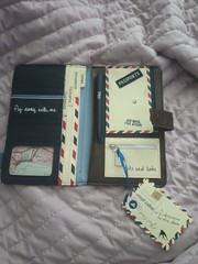 Disaster Designs Paper PlaneTravel Passport Wallet Organizer, Card Slots
