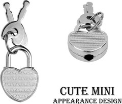 5 Pack Mini Diary Padlocks with Keys Small Travel Locks for Journals & Boxes