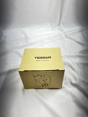TESSAN European Travel Plug Adapter Type C Europe Adaptor Foldable TS-TA02USEU