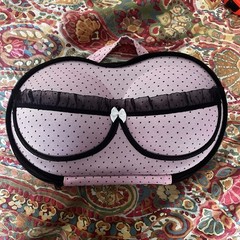 Pink Polka Dot Bra Bag Hard Case Luggage Travel Organizer Mesh Pocket Lingerie
