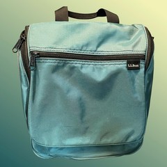LL Bean Personal Organizer Toiletry Bag Travel Kit Case Green Medium 0WPO1