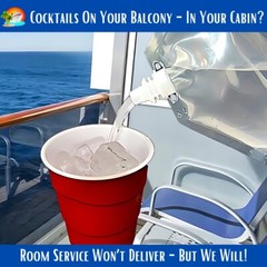 Cruise Ship Flask Kit Rum Runner Alcohol Liquor Smuggle Sneak Booze Bags Plastic