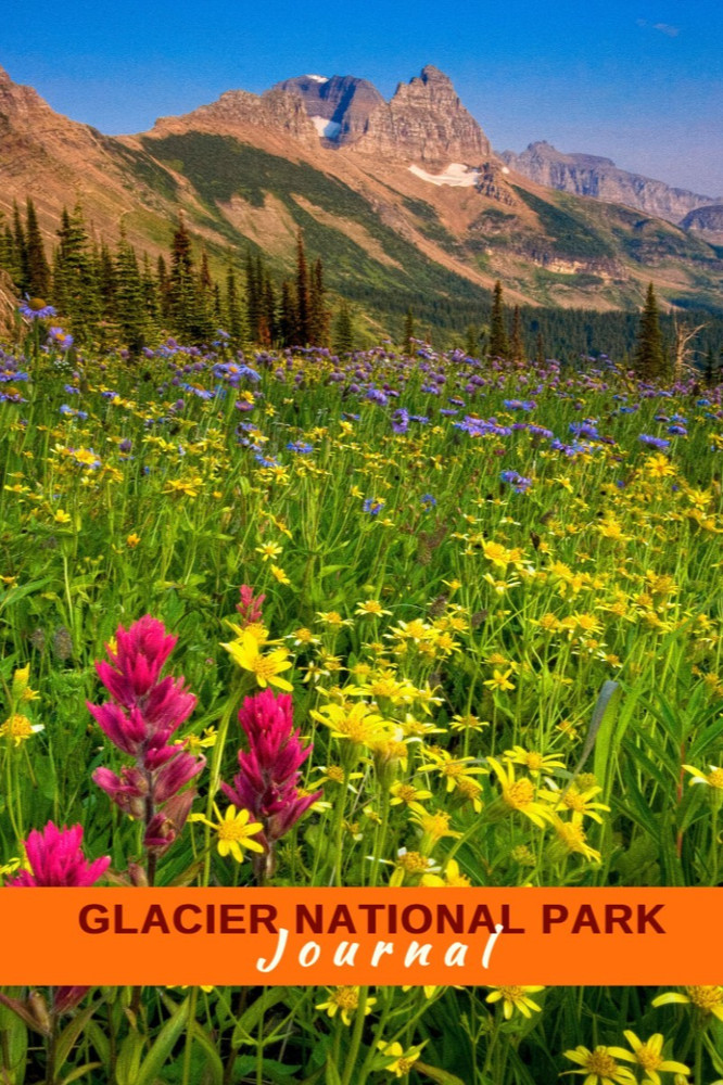 Glacier National Park Journal NIB Wildflowers and the Garden Wall Huzzah Publish