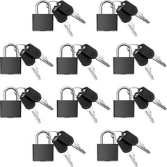 10 Pcs Mini Luggage Locks with Keys Black Small Padlocks for Travel & School