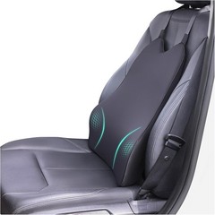 Lumbar Support Pillow for Car – Memory Foam Whole Back Relief | Adjustable St…